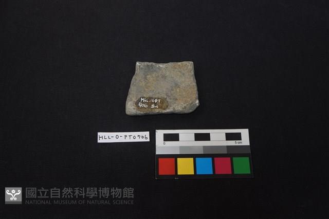 陶片藏品圖，第2張