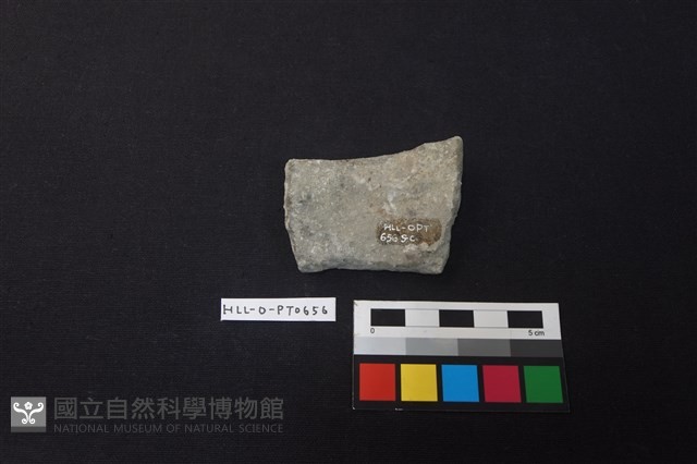 陶片藏品圖，第2張