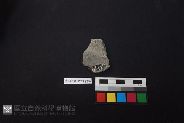 陶片藏品圖，第2張