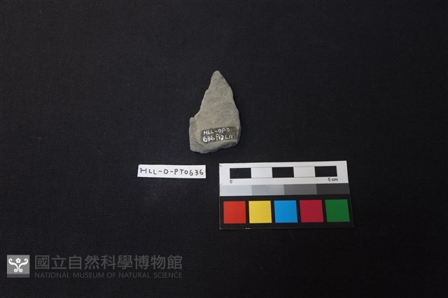 陶片藏品圖，第2張