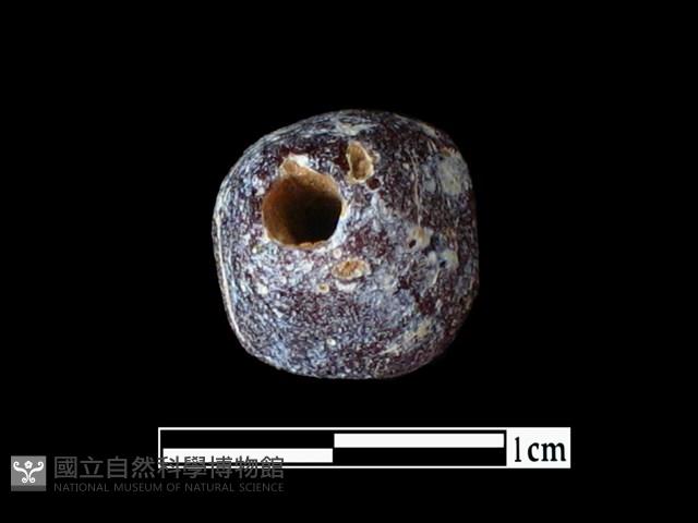 玻璃珠藏品圖，第2張