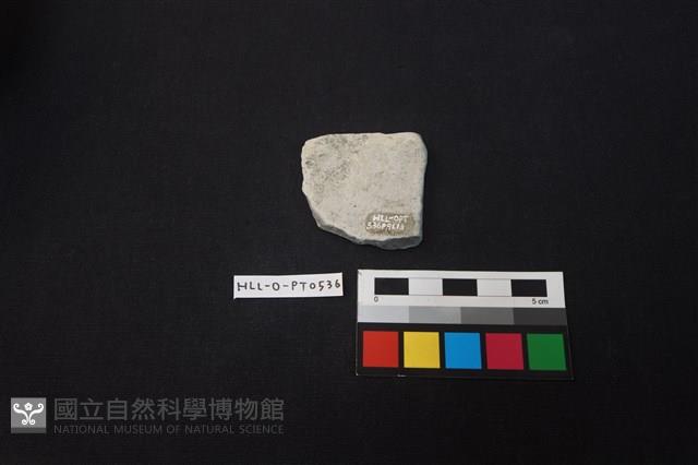 陶片藏品圖，第2張