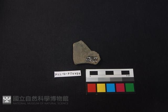 陶片藏品圖，第2張