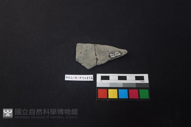 陶片藏品圖，第2張