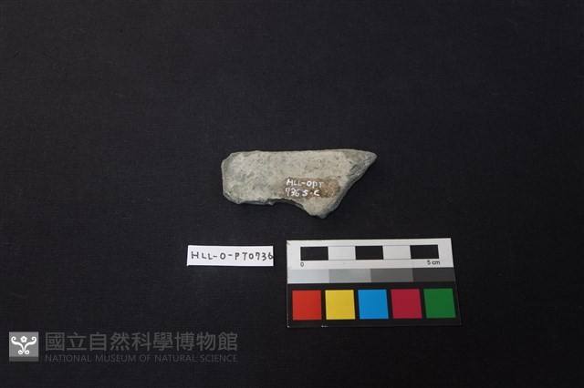 陶片藏品圖，第2張
