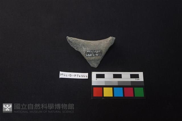 陶片藏品圖，第2張