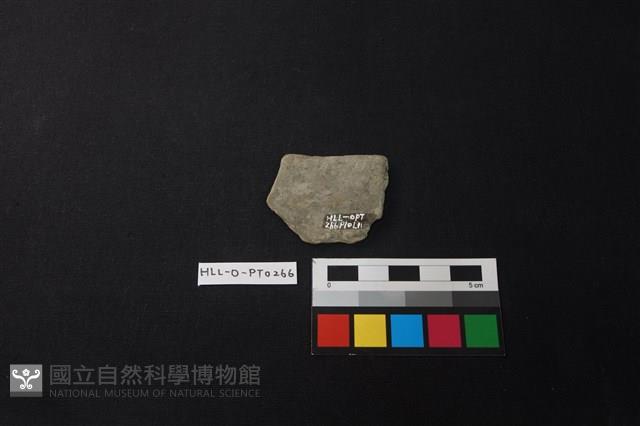 陶片藏品圖，第2張