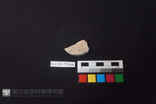 陶片藏品圖，第2張