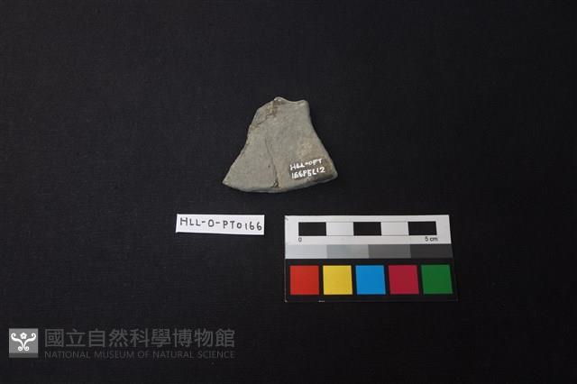 陶片藏品圖，第2張