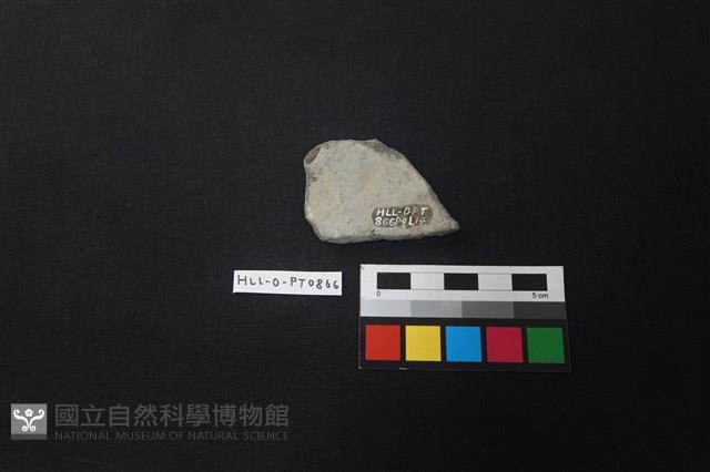 陶片藏品圖，第2張