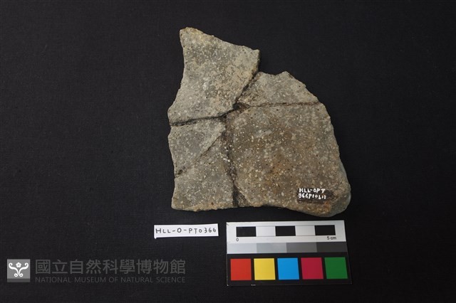 陶片藏品圖，第2張