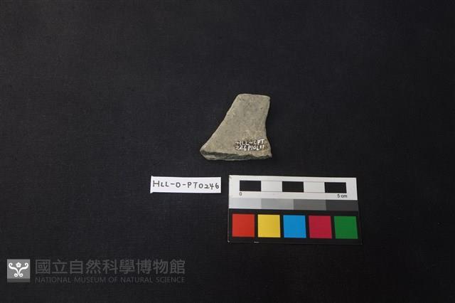 陶片藏品圖，第2張