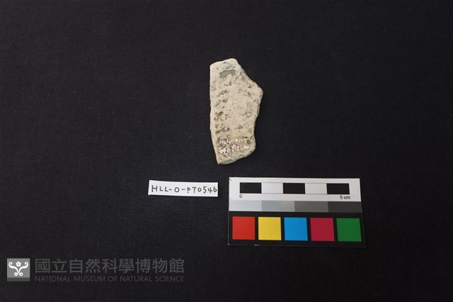 陶片藏品圖，第2張