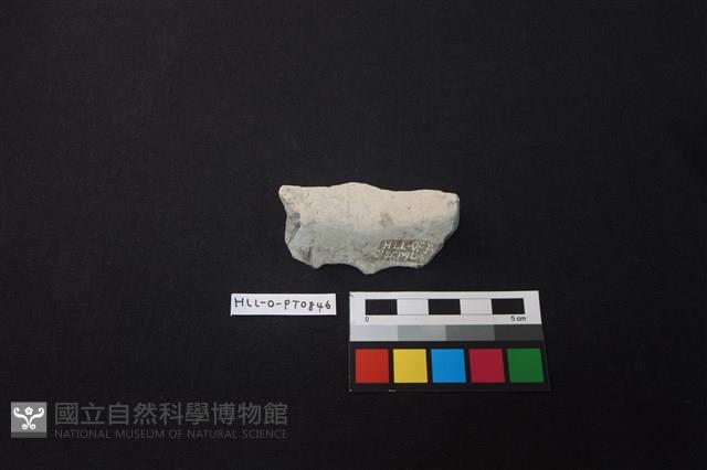 陶片藏品圖，第2張