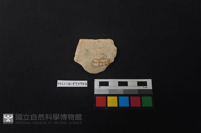 陶片藏品圖，第2張