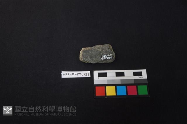 Accession Number:HLL-O-PT0186 Collection Image, Figure 2, Total 2 Figures