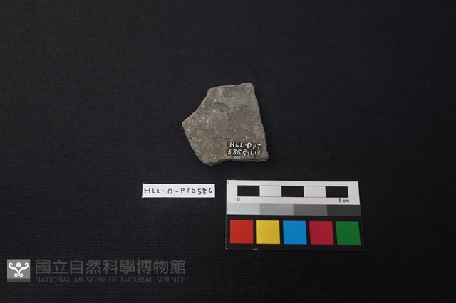 陶片藏品圖，第2張