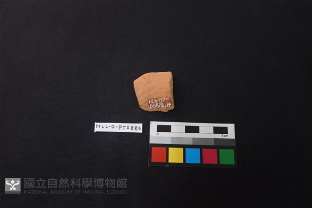 陶片藏品圖，第2張