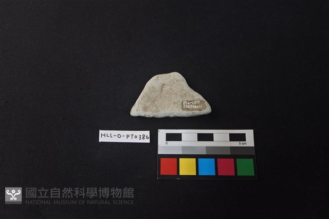 陶片藏品圖，第2張