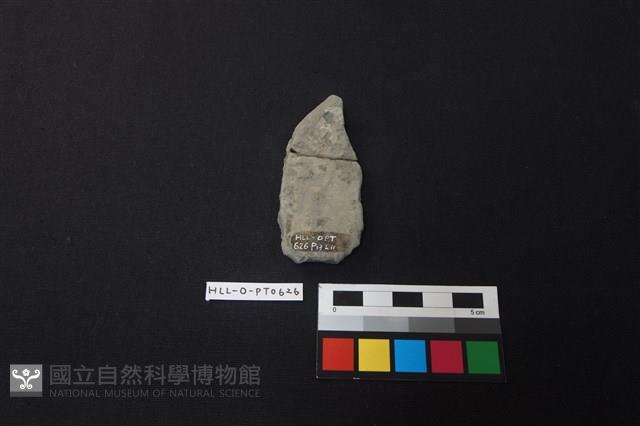 陶片藏品圖，第2張