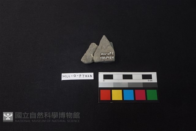 陶片藏品圖，第2張