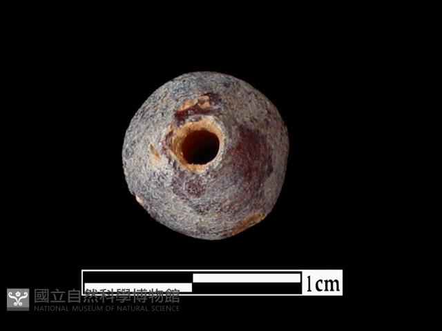 玻璃珠藏品圖，第2張