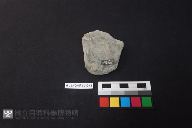 陶片藏品圖，第2張