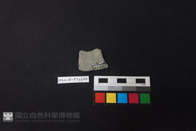 陶片藏品圖，第2張