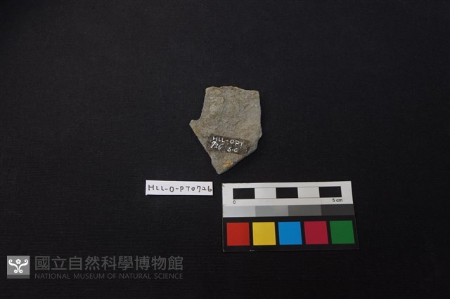 陶片藏品圖，第2張