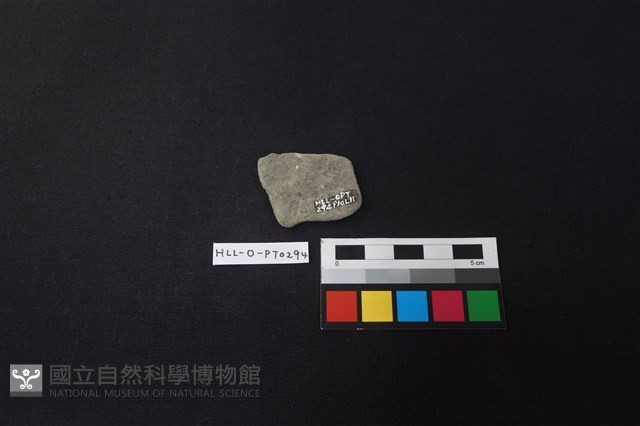 陶片藏品圖，第2張