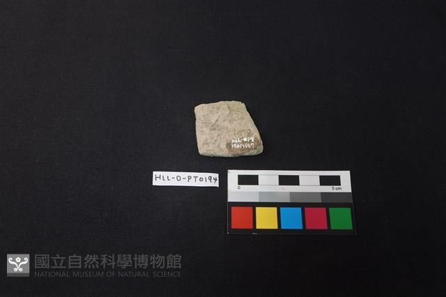 陶片藏品圖，第2張