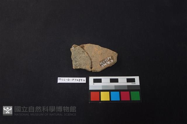 Accession Number:HLL-O-PT0894 Collection Image, Figure 2, Total 2 Figures