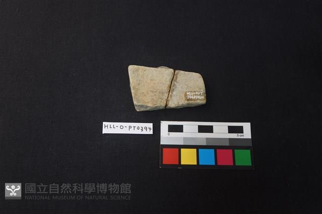 陶片藏品圖，第2張