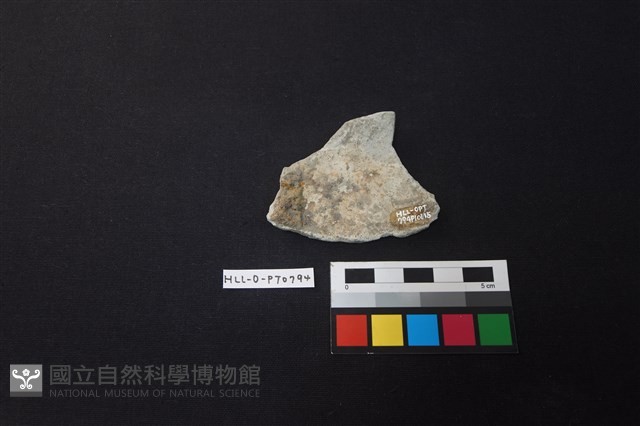 陶片藏品圖，第2張