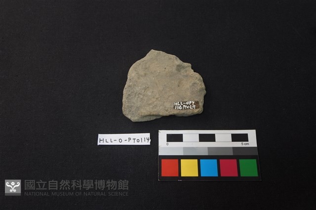 陶片藏品圖，第2張
