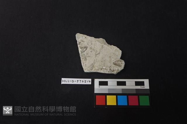 陶片藏品圖，第2張