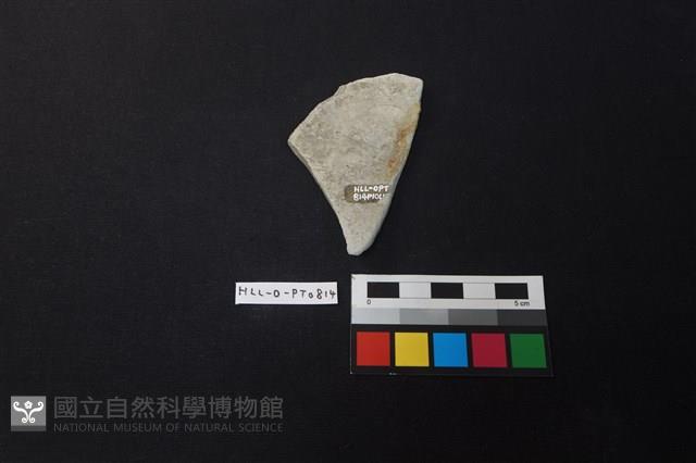 陶片藏品圖，第2張