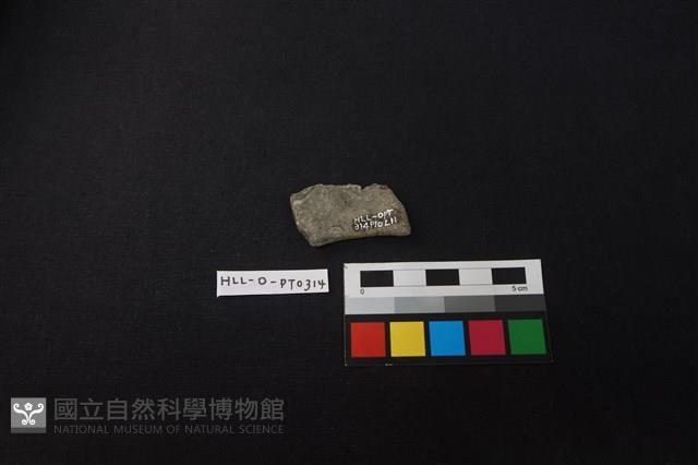 陶片藏品圖，第2張