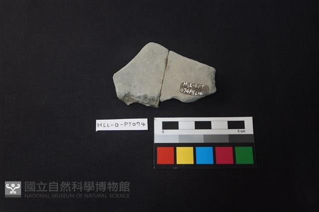 陶片藏品圖，第2張