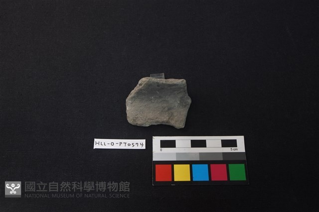 陶片藏品圖，第2張