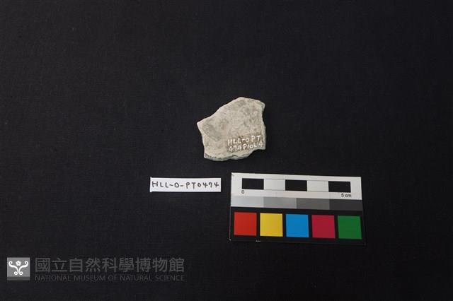 陶片藏品圖，第2張