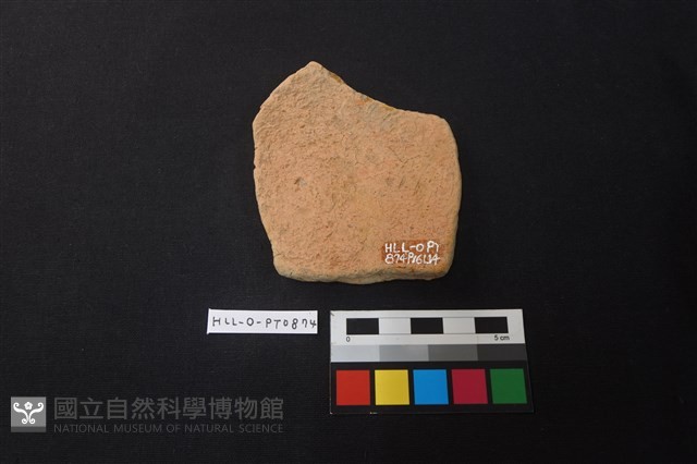 陶片藏品圖，第2張