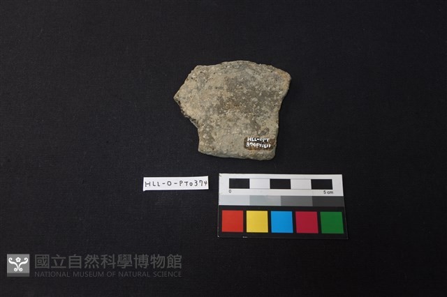 陶片藏品圖，第2張