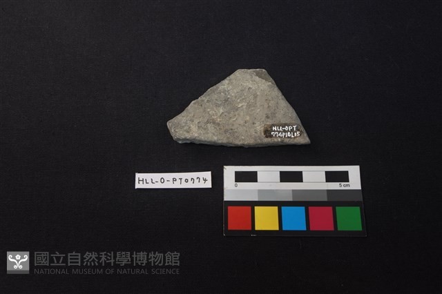 陶片藏品圖，第2張