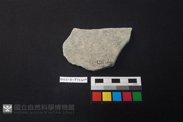 陶片藏品圖，第2張