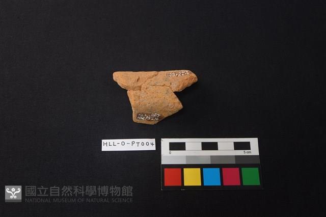 陶片藏品圖，第2張