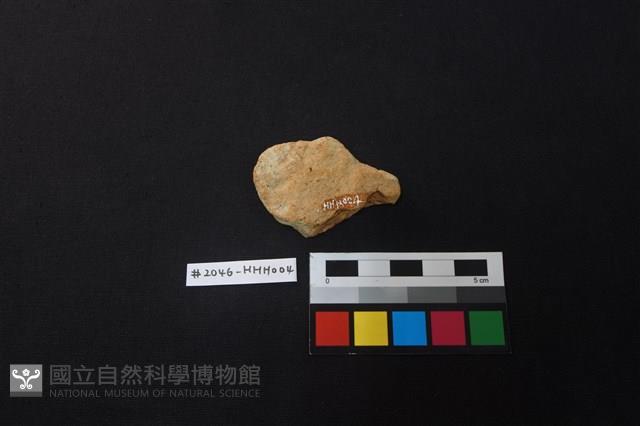 陶片藏品圖，第2張