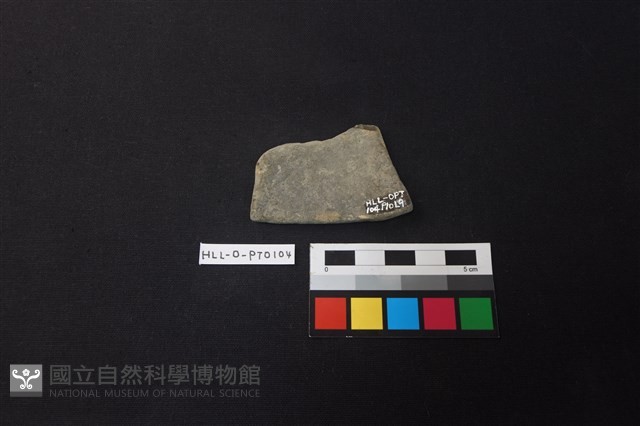 陶片藏品圖，第2張