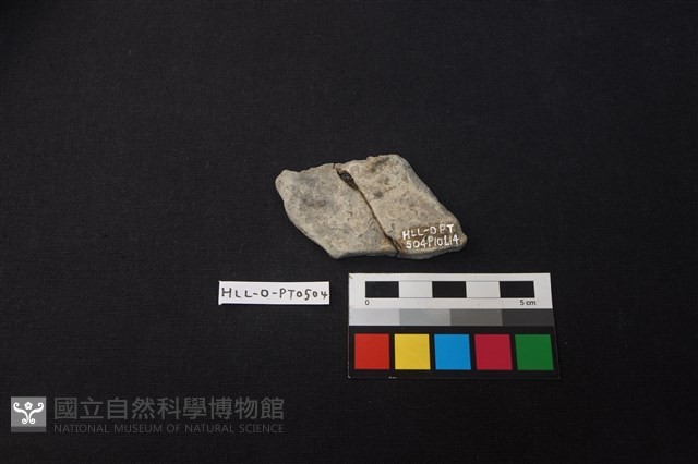 陶片藏品圖，第2張