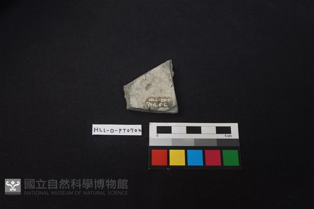 陶片藏品圖，第2張